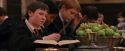 PF-Potterish_04558.jpg