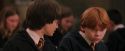 PF-Potterish_04569.jpg