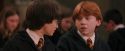 PF-Potterish_04570.jpg