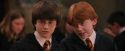 PF-Potterish_04572.jpg