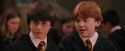 PF-Potterish_04576.jpg