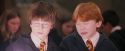 PF-Potterish_04578.jpg