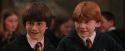 PF-Potterish_04585.jpg