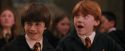 PF-Potterish_04586.jpg