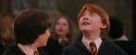 PF-Potterish_04589.jpg
