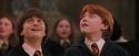 PF-Potterish_04590.jpg