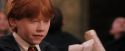 PF-Potterish_04632.jpg