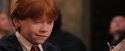 PF-Potterish_04633.jpg
