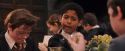 PF-Potterish_04648.jpg