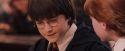 PF-Potterish_04693.jpg