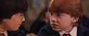 PF-Potterish_04695.jpg