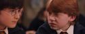 PF-Potterish_04696.jpg