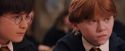 PF-Potterish_04697.jpg