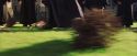 PF-Potterish_04713.jpg