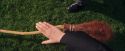 PF-Potterish_04761.jpg