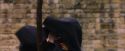PF-Potterish_04766.jpg