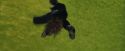 PF-Potterish_04848.jpg