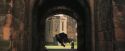 PF-Potterish_04856.jpg