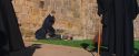 PF-Potterish_04886.jpg