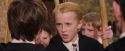 PF-Potterish_04935.jpg
