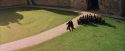 PF-Potterish_04952.jpg
