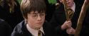 PF-Potterish_04959.jpg