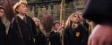 PF-Potterish_04971.jpg