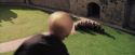 PF-Potterish_04987.jpg