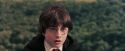 PF-Potterish_04995.jpg