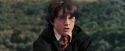PF-Potterish_04997.jpg