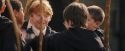 PF-Potterish_05044.jpg