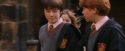 PF-Potterish_05164.jpg