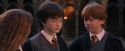 PF-Potterish_05175.jpg
