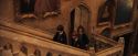 PF-Potterish_05204.jpg