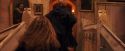PF-Potterish_05238.jpg