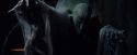 PF-Potterish_05253.jpg