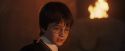 PF-Potterish_05267.jpg