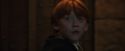 PF-Potterish_05295.jpg