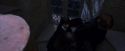 PF-Potterish_05402.jpg