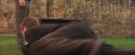 PF-Potterish_05545.jpg