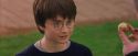 PF-Potterish_05584.jpg