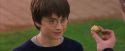 PF-Potterish_05585.jpg