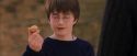 PF-Potterish_05600.jpg