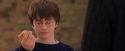 PF-Potterish_05610.jpg