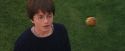 PF-Potterish_05623.jpg