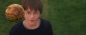 PF-Potterish_05625.jpg