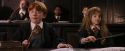 PF-Potterish_05665.jpg