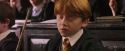 PF-Potterish_05684.jpg