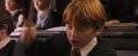 PF-Potterish_05687.jpg