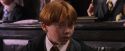 PF-Potterish_05704.jpg